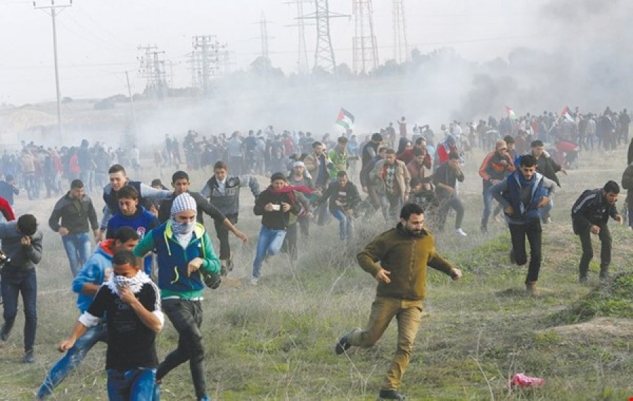 مئات الإصابات في احتجاجات عمّت الضفة الغربية والقدس وغزة