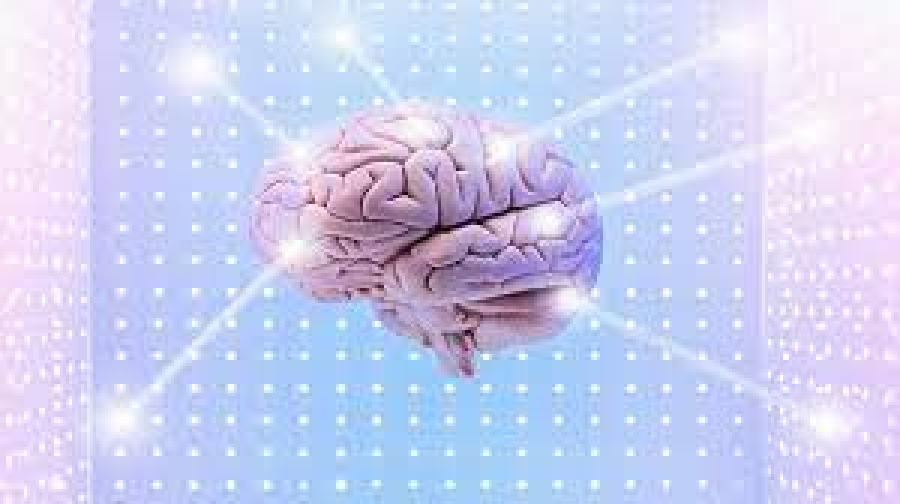دراسة: أخذ فترات راحة قصيرة قد يساعد عقولنا على تعلم مهارات جديدة بسرعة فائقة