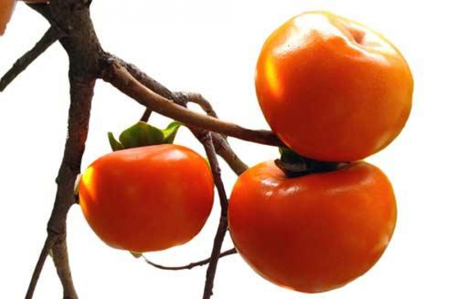 ماهي فوائد فاكهة البرسيمون ؟