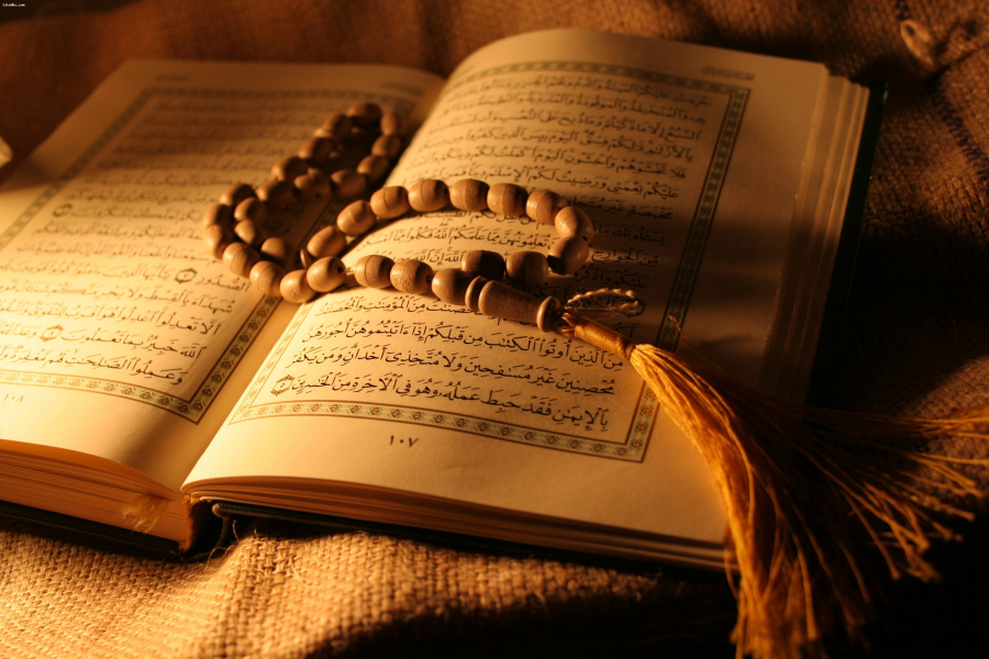 القرآن نظام حياة