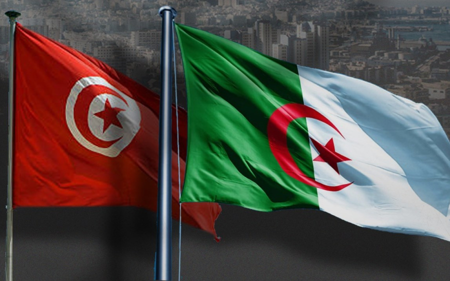 الجزائر وتونس ستغيبان عن &quot;قمة القاهرة&quot; لرفضهما مشاركة &quot;إسرائيل&quot;