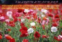 hadith-en-145