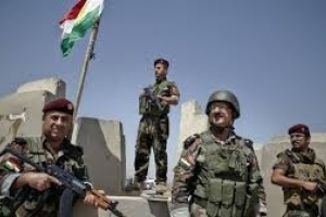 Syria gains ground against ISIL