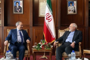 Zarif urges political solution to Syria crisis