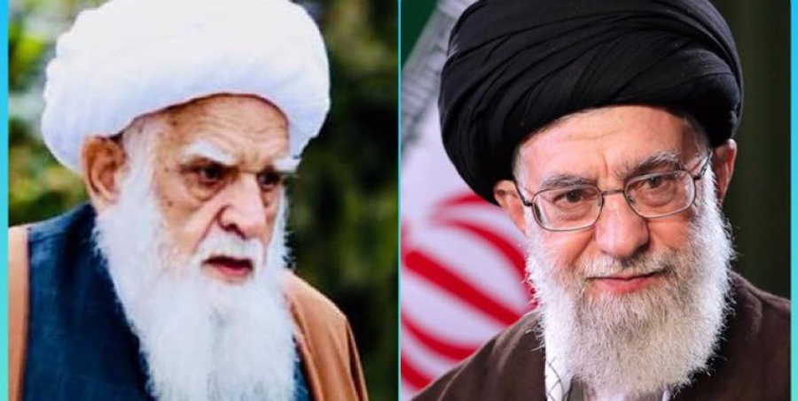 عیادت فرستاده ویژه رهبر انقلاب از مرجع تقلید شیعیان افغانستان