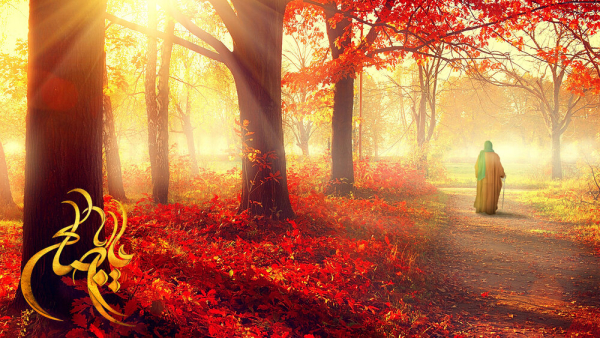 چرا امام زمان (عج) را شریکالقرآن مینامیم؟