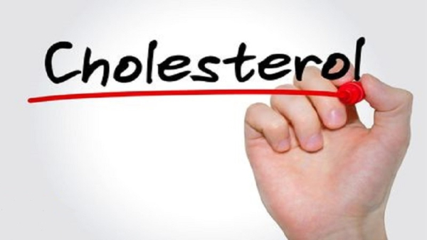 علت بالا رفتن کلسترول خون چیست؟