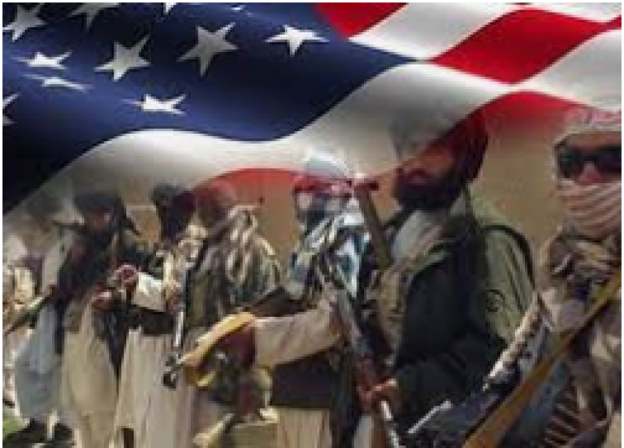 Les Talibans, Les Talibans du Mali et les positions des USA