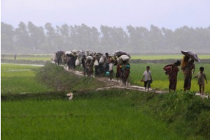 La plus grande population apatride au monde