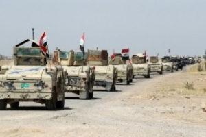 Irak: progression des forces irakiennes dans Fallouja