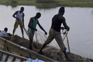 Le Parlement du Nigeria enquête sur la mort de 97 Nigérians