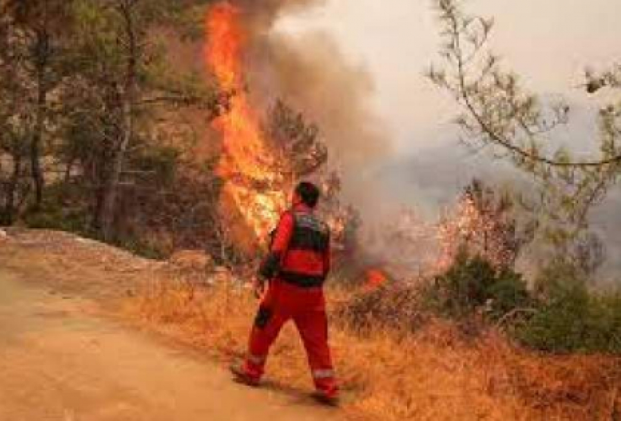 Le bilan des feux de forêt en Turquie s&#039;élève à huit morts