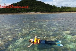 Pulau Kelapan Pesona Keindahan Bawah Laut