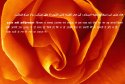 hadith-in-002