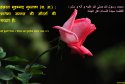 hadith-in-092