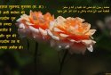 hadith-in-098
