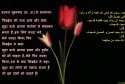 hadith-in-101