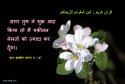 hadith-in-106