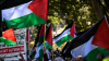 फ़िलिस्तीन के समर्थन में वैश्विक प्रदर्शन
