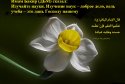 hadith-ru-066