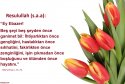 hadith-tr-073