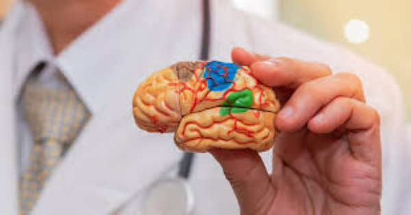 الخلايا الجذعية تصلح أدمغة الفئران بعد السكتة الدماغية