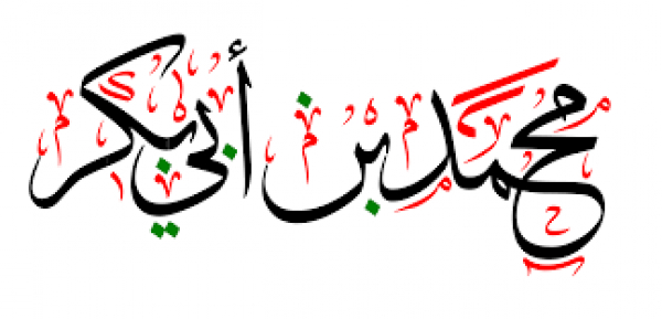شهادة محمد بن أبي بكر (والي علي بن أبي طالب (ع)  على مصر)(14/ صفر / السنة 37 هـ)