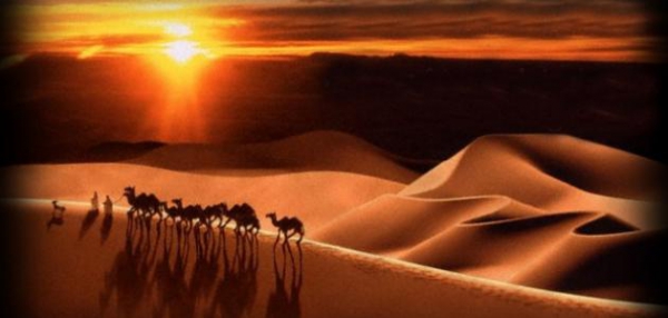 أسباب الهجرة إلى المدينة المنورة (27)