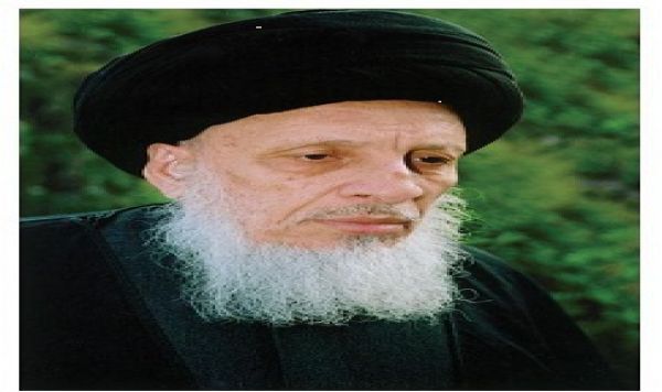 سماحة المرجع الديني آية الله العظمى السيدمحمدسعيد الحکيم(دام‌ظله‌الشريف)