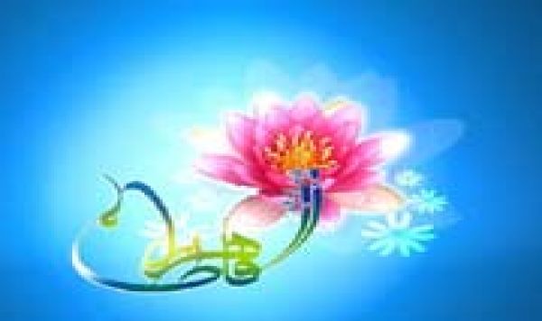 ولادة السيدة فاطمة الزهراء (ع) اضاءة في حياة الامة