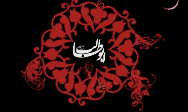 إسلام أبي طالب (22)