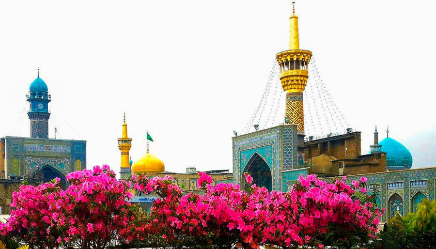 الإمام الرضا (عليه السلام).. مدرسة العلم الإلهي