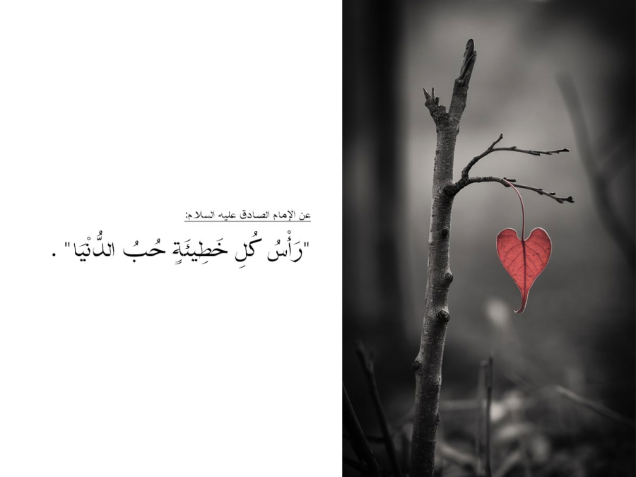 علاج القلب المختلط بحب الدنيا