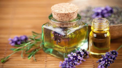 إرث من الحكمة الطبيعية.. هذا دليلك لاكتشاف فوائد زيت الضرو