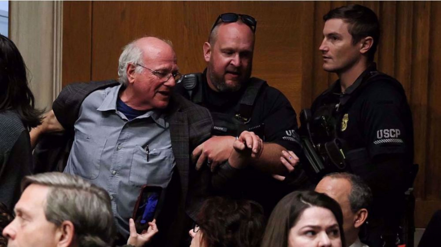 ‘Congress pays for bombs that kill children in Gaza,’ Ben &amp; Jerry&#039;s co-founder