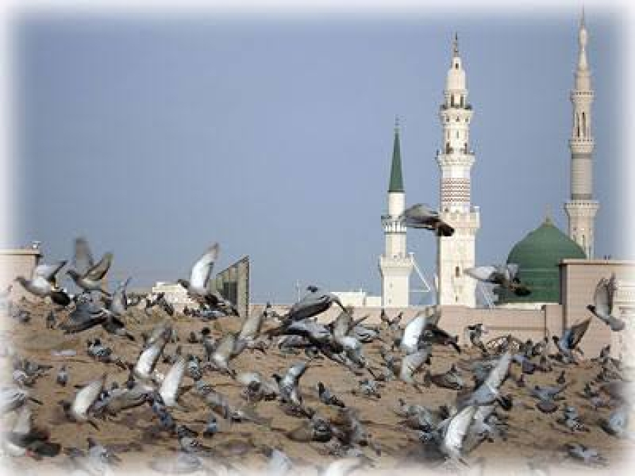 What is the origin of the name “Baqi Cemetery”?