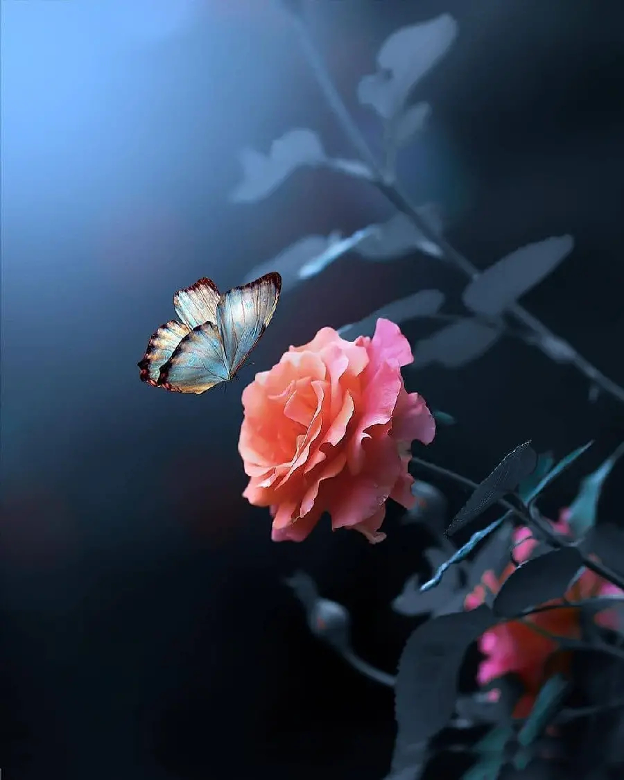 How are the signs of Imam Mahdi’s (AJ) appearance analyzed according to traditions?