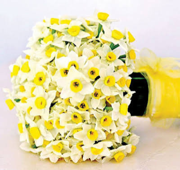 What is the role of Mahdism in the social and political life of Muslims?