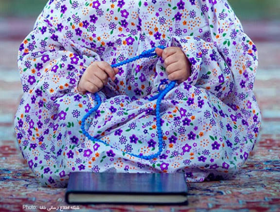 What are the main sources of Shia jurisprudence and beliefs?