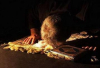 4: The Jurisprudential Rules Governing the Surface of Prostration in Shi’a Islam