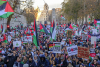 From sea to streets: Global Sumud Flotilla awakens world, ignites anti-genocide protests