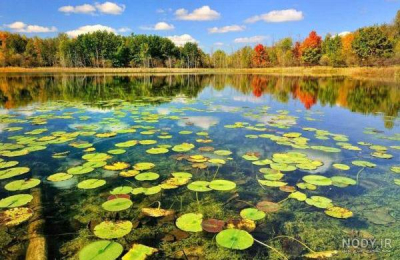 Ethics Is Impossible Without Self-Knowledge