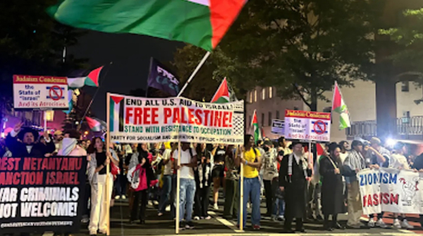 Majority of Americas support recognition of Palestine state, poll finds