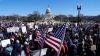 Protests against DOGE every other day in Washington DC