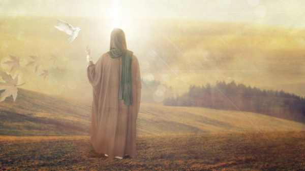 Sunni documents about Imam Mahdi (a.s.)