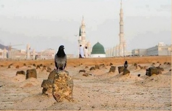 Al Baqi Cemetery