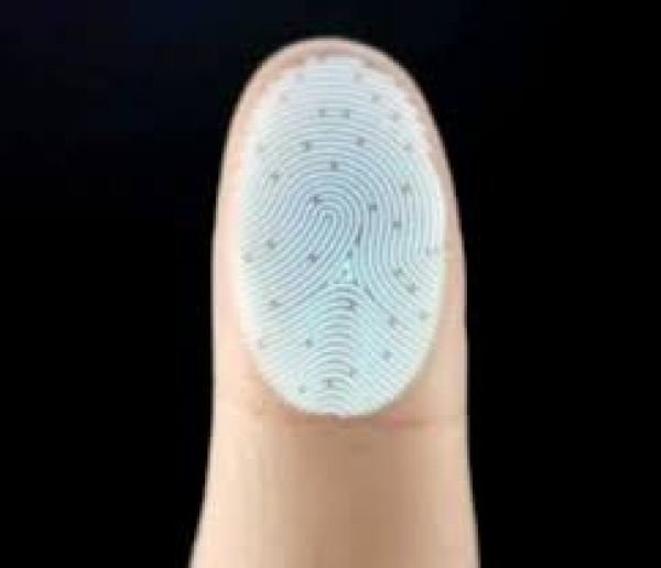 The Uniqueness of Fingertips in the Qur’an