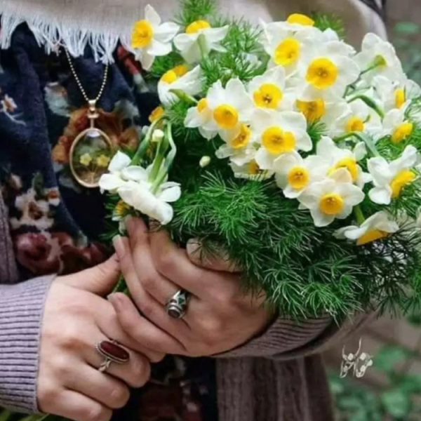 The Shiite Perspective on the Wives of the Prophet of Islam