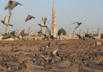 راز اختلاف در تاریخ شهادت حضرت زهرا(س)