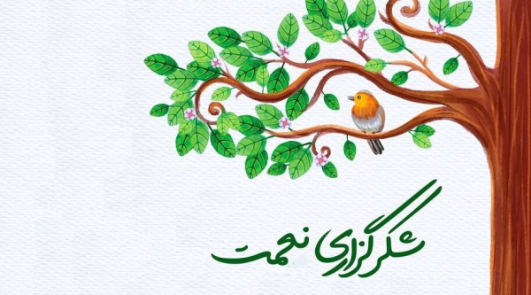 شکر یعنی دیدن خوبی‌ها حتی وسط سختی‌ها